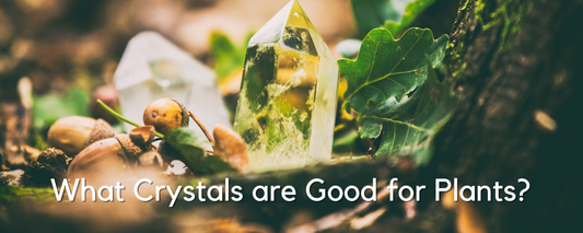 What Crystals are Good for Plants?