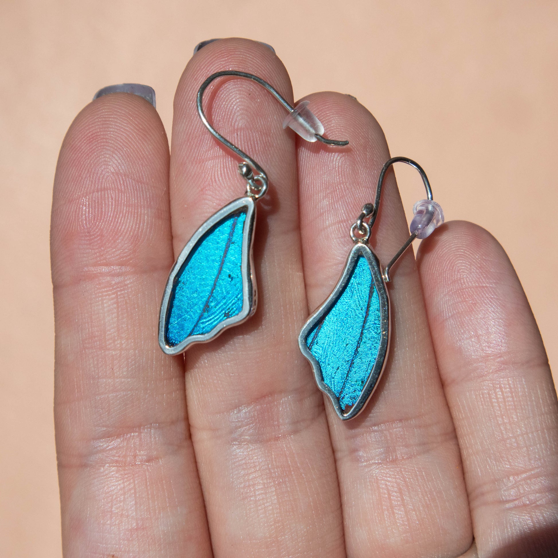 preserved butterfly earrings, preserved butterflies, butterflies, butterfly wings, morpho achilles, morpho achilles butterfly, morpho achilles species, butterfly jewelry, butterfly earrings