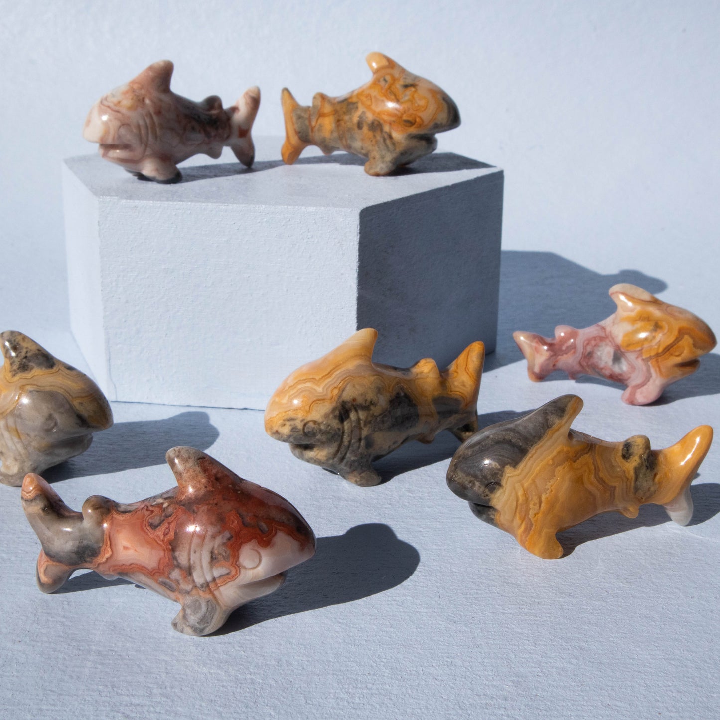 Crazy Lace Agate Shark 2"