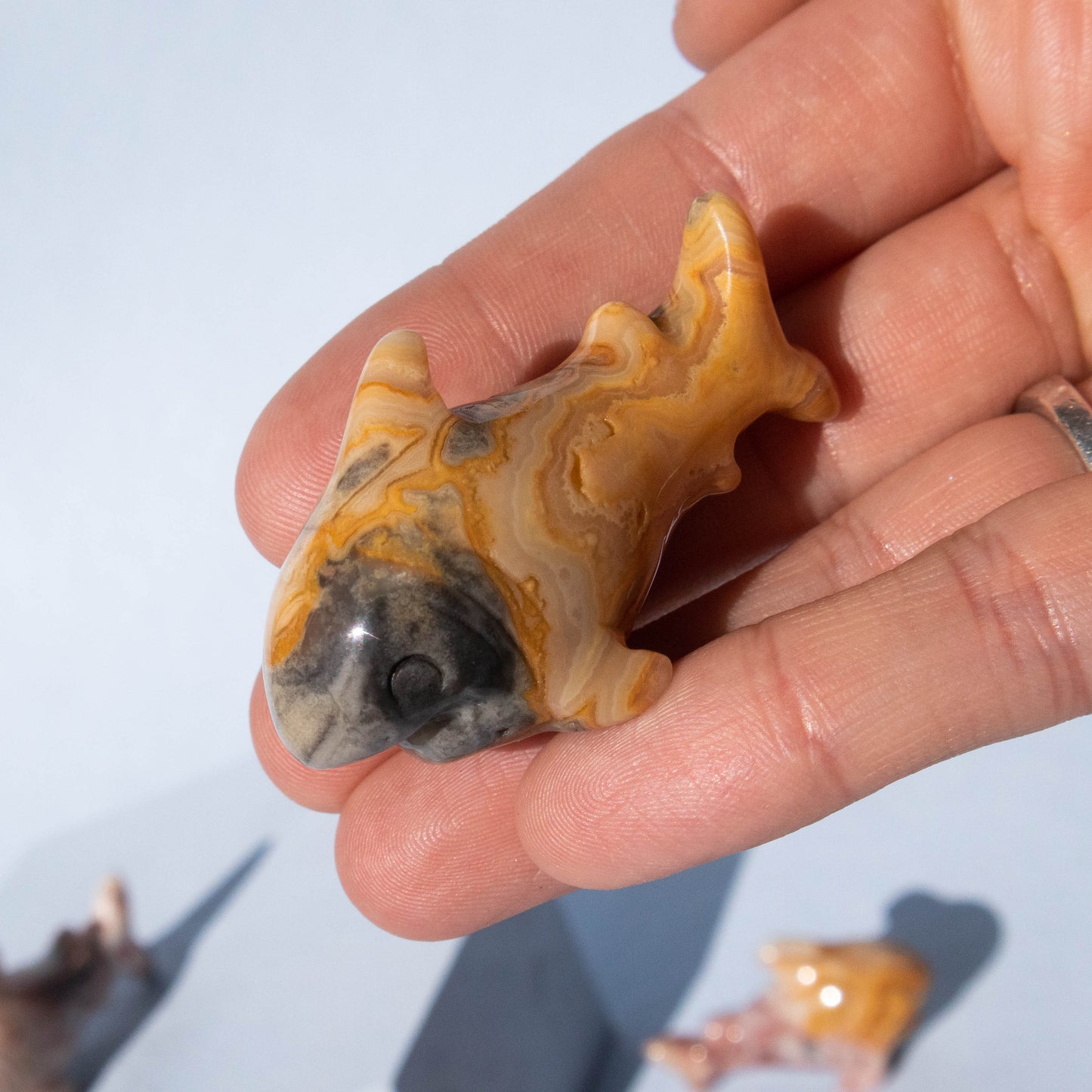 Crazy Lace Agate Shark 2"