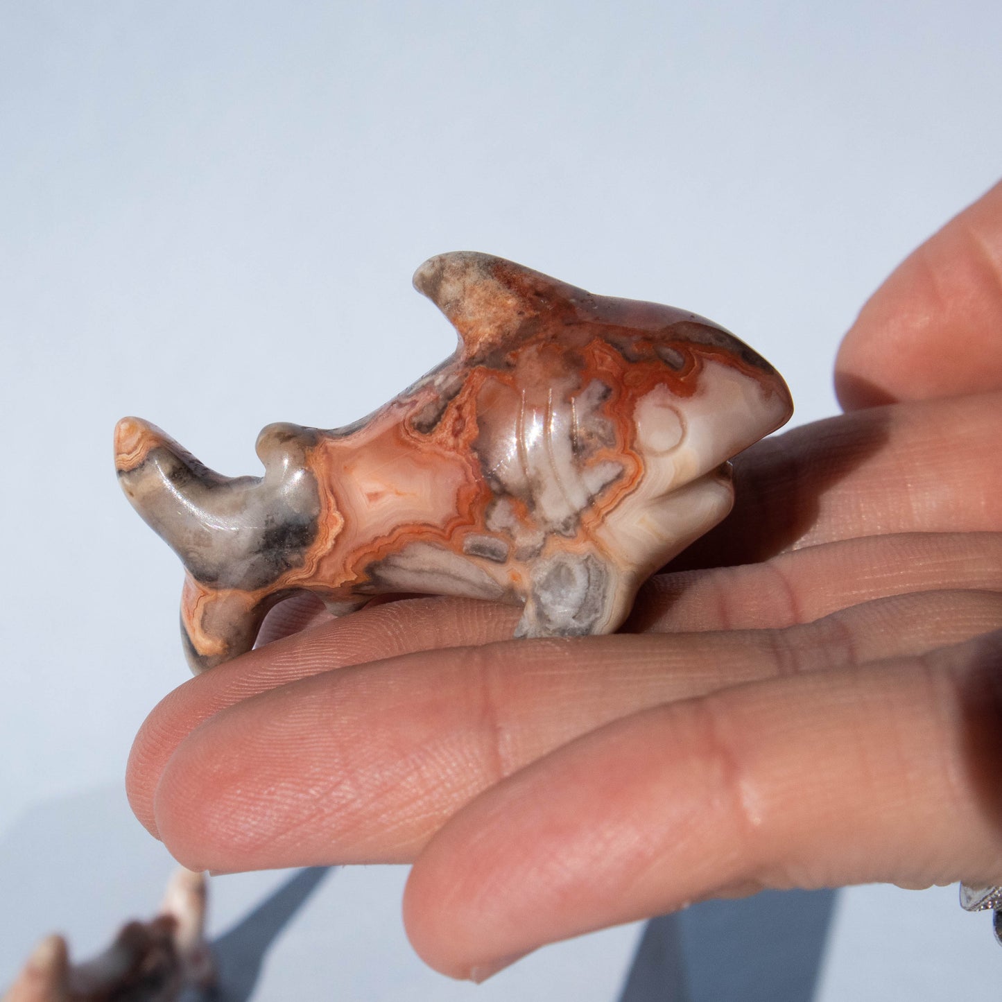 Crazy Lace Agate Shark 2"